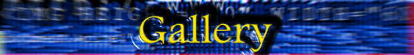 [ G A L L E R Y ]